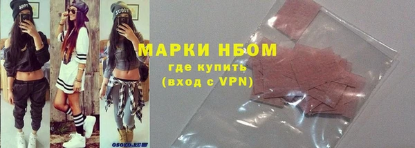 индика Медногорск