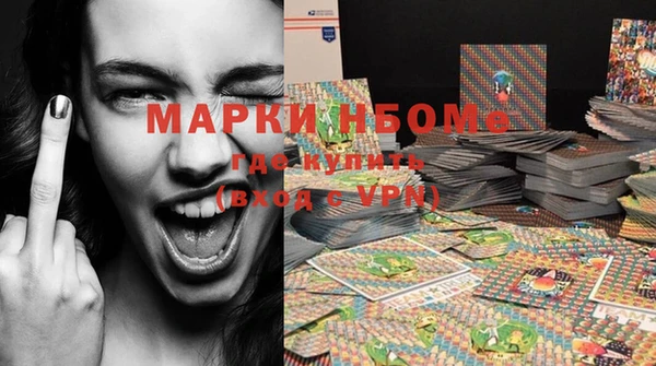 индика Медногорск