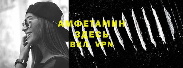 индика Медногорск