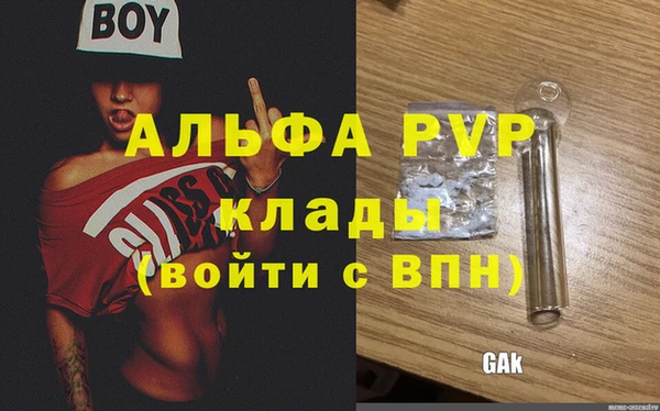 индика Медногорск