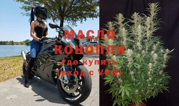 индика Медногорск